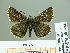  ( - HESP-EB 00 974)  @14 [ ] Copyright (2010) Unspecified Research Collection of Ernst Brockmann