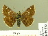  ( - HESP-EB 00 985)  @14 [ ] Copyright (2010) Unspecified Research Collection of Ernst Brockmann