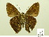 ( - HESP-EB 00 997)  @13 [ ] Copyright (2010) Unspecified Research Collection of Ernst Brockmann