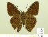  ( - HESP-EB 00 997)  @14 [ ] Copyright (2010) Unspecified Research Collection of Ernst Brockmann