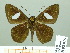  ( - HESP-EB 02015)  @14 [ ] Copyright (2010) Ernst Brockmann Research Collection of Ernst Brockmann
