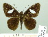  ( - HESP-EB 02015)  @14 [ ] Copyright (2010) Ernst Brockmann Research Collection of Ernst Brockmann