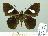  ( - HESP-EB 02021)  @14 [ ] Copyright (2010) Ernst Brockmann Research Collection of Ernst Brockmann