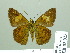  ( - HESP-EB 02023)  @13 [ ] Copyright (2010) Ernst Brockmann Research Collection of Ernst Brockmann
