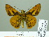  ( - HESP-EB 02027)  @14 [ ] Copyright (2010) Ernst Brockmann Research Collection of Ernst Brockmann