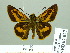  ( - HESP-EB 02027)  @15 [ ] Copyright (2010) Ernst Brockmann Research Collection of Ernst Brockmann