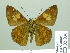  ( - HESP-EB 02036)  @13 [ ] Copyright (2010) Ernst Brockmann Research Collection of Ernst Brockmann