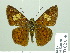  ( - HESP-EB 02036)  @14 [ ] Copyright (2010) Ernst Brockmann Research Collection of Ernst Brockmann