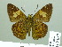  ( - HESP-EB 02037)  @13 [ ] Copyright (2010) Ernst Brockmann Research Collection of Ernst Brockmann
