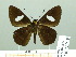  ( - HESP-EB 02039)  @14 [ ] Copyright (2010) Ernst Brockmann Research Collection of Ernst Brockmann