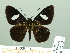  ( - HESP-EB 02039)  @13 [ ] Copyright (2010) Ernst Brockmann Research Collection of Ernst Brockmann
