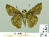  ( - HESP-EB 02045)  @13 [ ] Copyright (2010) Ernst Brockmann Research Collection of Ernst Brockmann