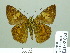  ( - HESP-EB 02053)  @13 [ ] Copyright (2010) Ernst Brockmann Research Collection of Ernst Brockmann