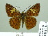  ( - HESP-EB 02053)  @15 [ ] Copyright (2010) Ernst Brockmann Research Collection of Ernst Brockmann