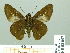  ( - HESP-EB 02057)  @12 [ ] Copyright (2010) Ernst Brockmann Research Collection of Ernst Brockmann