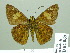  ( - HESP-EB 02060)  @13 [ ] Copyright (2010) Ernst Brockmann Research Collection of Ernst Brockmann