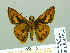  ( - HESP-EB 02062)  @14 [ ] Copyright (2010) Ernst Brockmann Research Collection of Ernst Brockmann