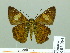  ( - HESP-EB 02064)  @13 [ ] Copyright (2010) Ernst Brockmann Research Collection of Ernst Brockmann