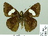  ( - HESP-EB 02067)  @14 [ ] Copyright (2010) Ernst Brockmann Research Collection of Ernst Brockmann