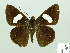  ( - HESP-EB 02067)  @14 [ ] Copyright (2010) Ernst Brockmann Research Collection of Ernst Brockmann