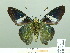  ( - HESP-EB 02086)  @12 [ ] Copyright (2010) Ernst Brockmann Research Collection of Ernst Brockmann