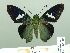  ( - HESP-EB 02086)  @13 [ ] Copyright (2010) Ernst Brockmann Research Collection of Ernst Brockmann