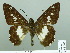  ( - HESP-EB 02105)  @13 [ ] Copyright (2010) Ernst Brockmann Research Collection of Ernst Brockmann