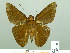  ( - HESP-EB 02138)  @13 [ ] Copyright (2010) Ernst Brockmann Research Collection of Ernst Brockmann