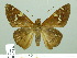  ( - HESP-EB 02142)  @14 [ ] Copyright (2010) Ernst Brockmann Research Collection of Ernst Brockmann