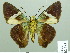  ( - HESP-EB 02185)  @11 [ ] Copyright (2010) Ernst Brockmann Research Collection of Ernst Brockmann