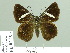  ( - HESP-EB 02193)  @13 [ ] Copyright (2010) Ernst Brockmann Research Collection of Ernst Brockmann