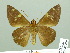  ( - HESP-EB 02260)  @14 [ ] Copyright (2010) Ernst Brockmann Research Collection of Ernst Brockmann