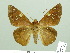  ( - HESP-EB 02260)  @14 [ ] Copyright (2010) Ernst Brockmann Research Collection of Ernst Brockmann