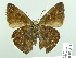  ( - HESP-EB 02271)  @13 [ ] Copyright (2010) Ernst Brockmann Research Collection of Ernst Brockmann