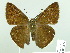  ( - HESP-EB 02271)  @13 [ ] Copyright (2010) Ernst Brockmann Research Collection of Ernst Brockmann