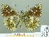  ( - HESP-EB 02303)  @11 [ ] Copyright (2010) Ernst Brockmann Research Collection of Ernst Brockmann