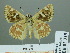  ( - HESP-EB 02315)  @13 [ ] Copyright (2010) Ernst Brockmann Research Collection of Ernst Brockmann
