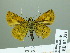  ( - HESP-EB 02321)  @14 [ ] Copyright (2010) Ernst Brockmann Research Collection of Ernst Brockmann