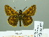  ( - HESP-EB 02323)  @12 [ ] Copyright (2010) Ernst Brockmann Research Collection of Ernst Brockmann