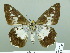  ( - HESP-EB 02345)  @13 [ ] Copyright (2010) Ernst Brockmann Research Collection of Ernst Brockmann