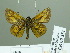  ( - HESP-EB 02351)  @13 [ ] Copyright (2010) Ernst Brockmann Research Collection of Ernst Brockmann