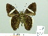  ( - HESP-EB 02406)  @12 [ ] Copyright (2010) Ernst Brockmann Research Collection of Ernst Brockmann