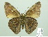  ( - HESP-EB 02407)  @14 [ ] Copyright (2010) Ernst Brockmann Research Collection of Ernst Brockmann