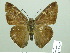  ( - HESP-EB 02407)  @14 [ ] Copyright (2010) Ernst Brockmann Research Collection of Ernst Brockmann