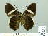  ( - HESP-EB 02414)  @13 [ ] Copyright (2010) Ernst Brockmann Research Collection of Ernst Brockmann