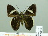  ( - HESP-EB 02416)  @13 [ ] Copyright (2010) Ernst Brockmann Research Collection of Ernst Brockmann
