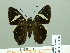  ( - HESP-EB 02416)  @13 [ ] Copyright (2010) Ernst Brockmann Research Collection of Ernst Brockmann