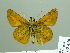  ( - HESP-EB 02436)  @13 [ ] Copyright (2010) Ernst Brockmann Research Collection of Ernst Brockmann