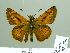  ( - HESP-EB 02436)  @13 [ ] Copyright (2010) Ernst Brockmann Research Collection of Ernst Brockmann