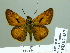  ( - HESP-EB 02437)  @13 [ ] Copyright (2010) Ernst Brockmann Research Collection of Ernst Brockmann
